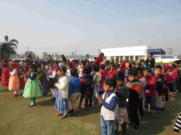 Bloom And Blossom Day