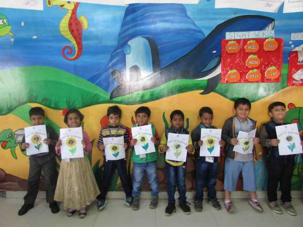 Bloom And Blossom Day