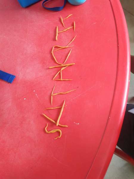 International literacy Week Celebration