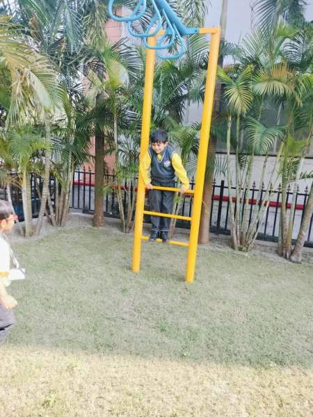 Picnic Day Celebration 2024