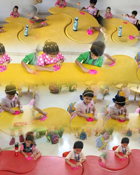 Pink Day Celebration (2025)