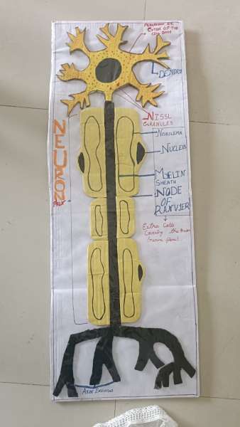 Tinkering Activity conducted at STEM World School (2025)