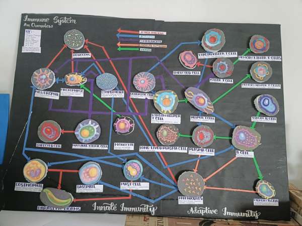 Tinkering Activity conducted at STEM World School (2025)