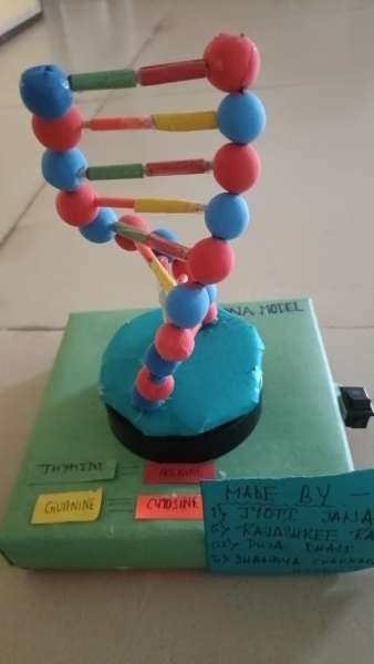 Tinkering Activity conducted at STEM World School (2025)