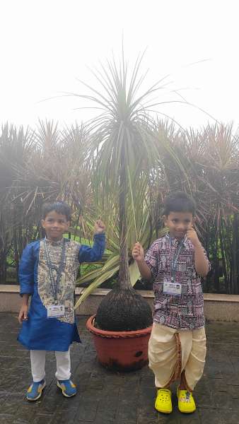 Unity in Diversity (2025)