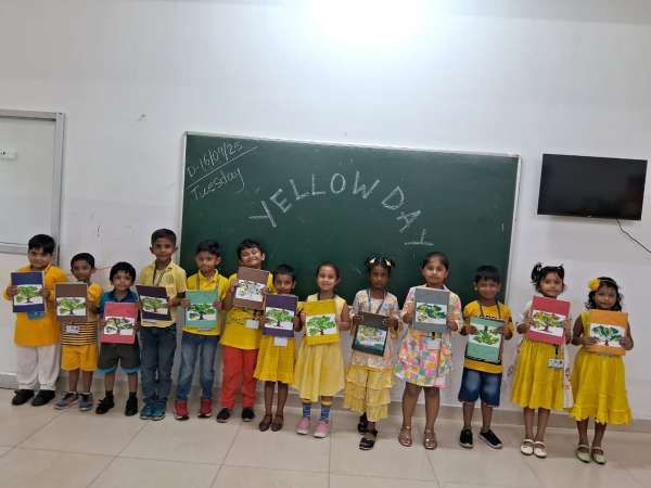 Yellow Day Celebration (2025)