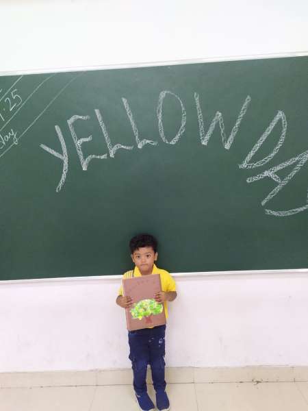 Yellow Day Celebration (2025)