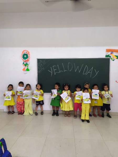Yellow Day Celebration (2025)