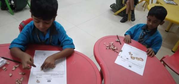 Best Out of Waste (2025)