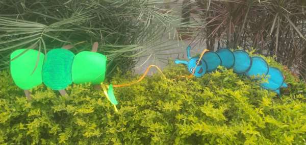 Creepy Crawlies Day Celebration (2025)