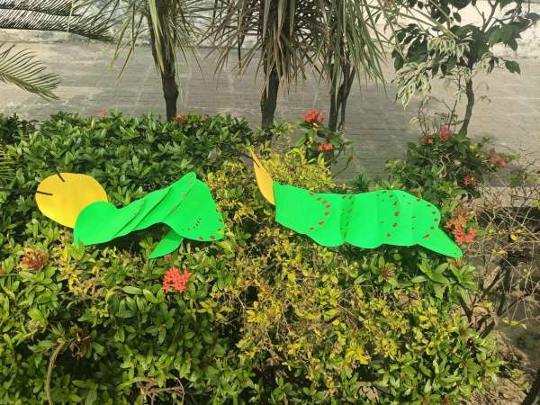 Creepy Crawlies Day Celebration (2025)