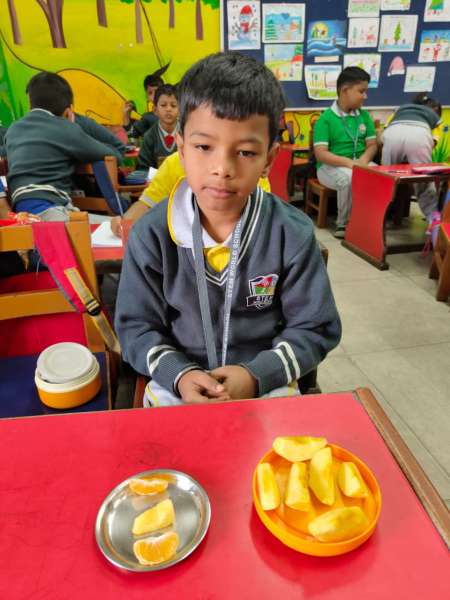 Fruit Fiesta 1 – 4 (2025)