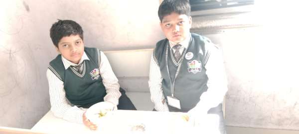 Fruit Fiesta 1 – 4 (2025)