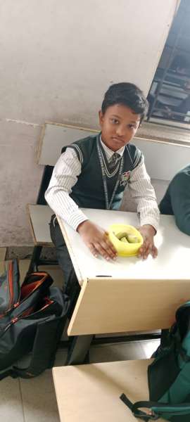 Fruit Fiesta 1 – 4 (2025)