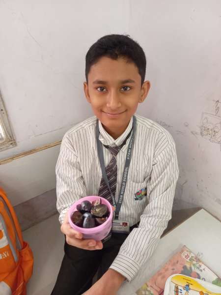 Fruit Fiesta 1 – 4 (2025)