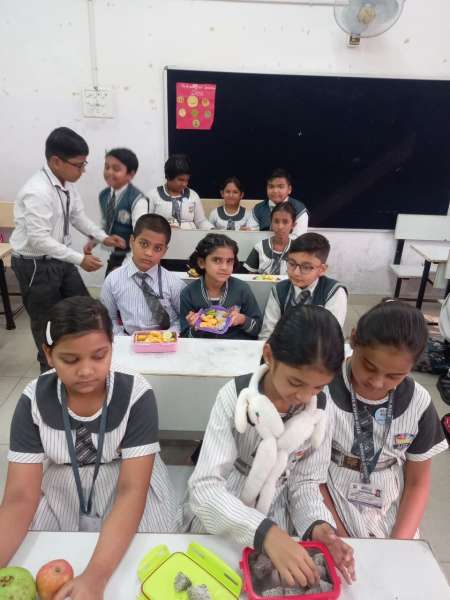 Fruit Fiesta 1 – 4 (2025)