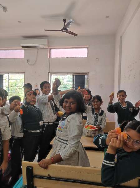 Fruit Fiesta 1 – 4 (2025)