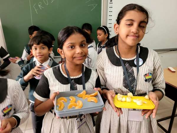 Fruit Fiesta 1 – 4 (2025)