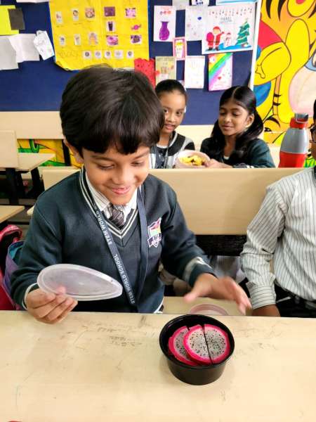 Fruit Fiesta 1 – 4 (2025)