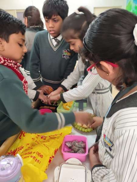 Fruit Fiesta 1 – 4 (2025)