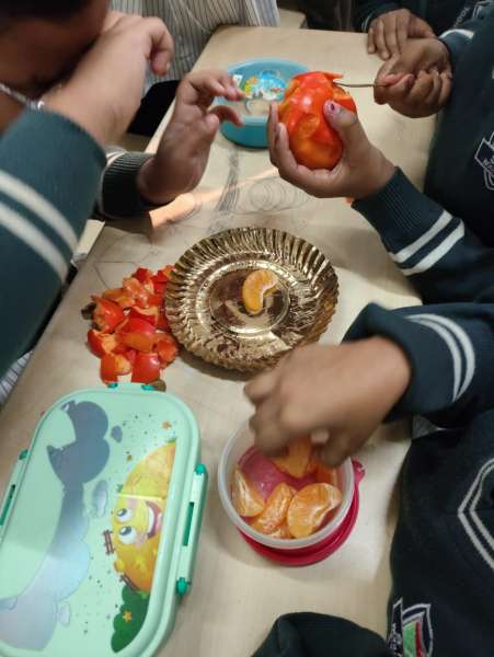 Fruit Fiesta 1 – 4 (2025)