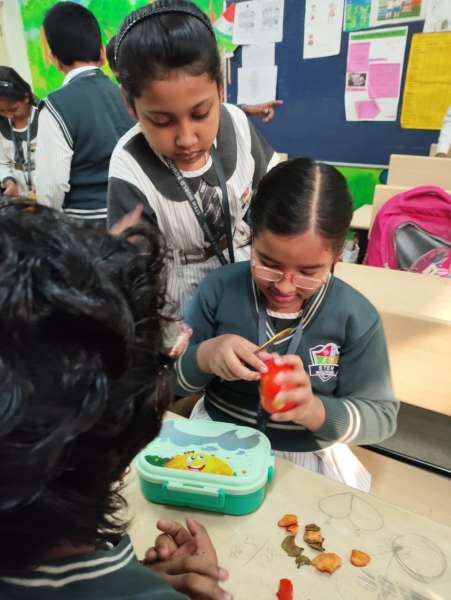 Fruit Fiesta 1 – 4 (2025)