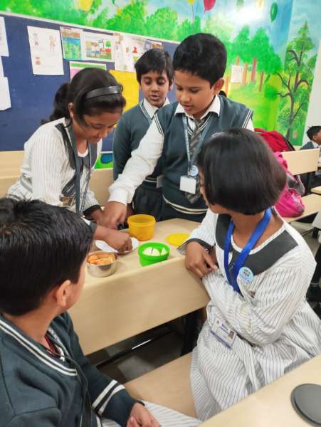 Fruit Fiesta 1 – 4 (2025)