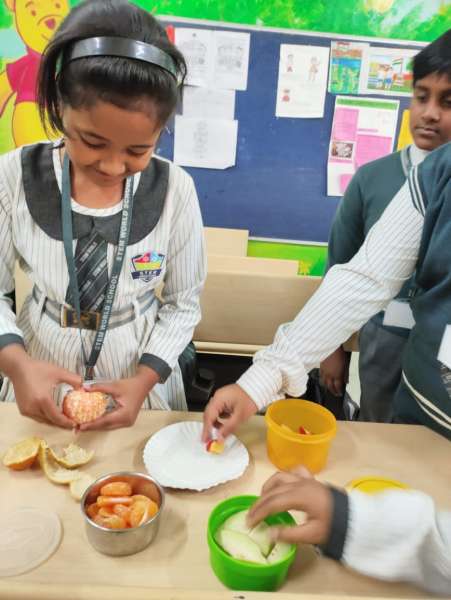 Fruit Fiesta 1 – 4 (2025)