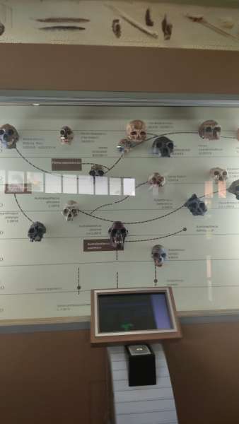 Educational Trip (2025)