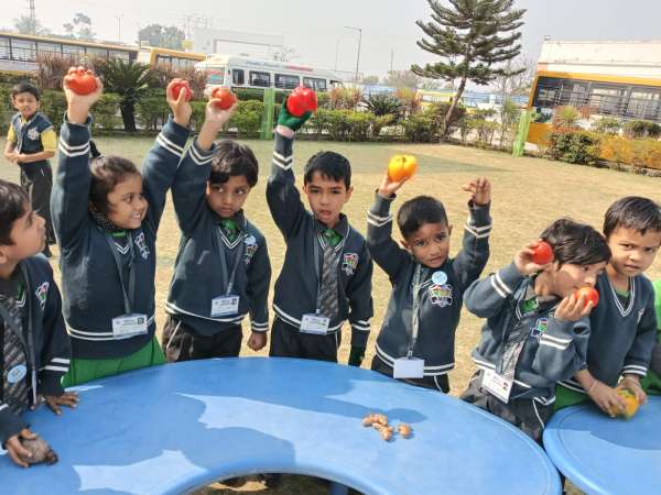 Vegetable Market Day Celebration (2026)