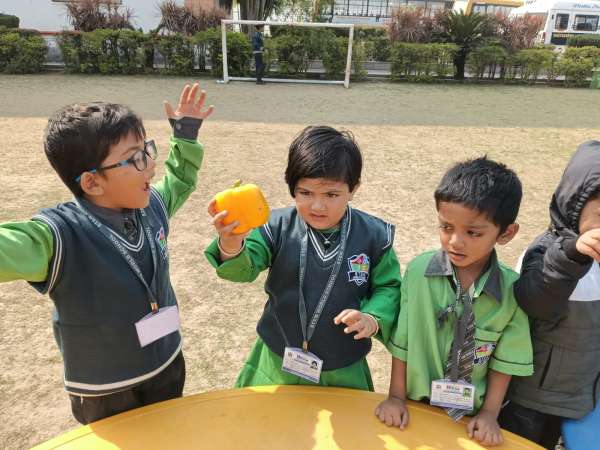Vegetable Market Day Celebration (2026)