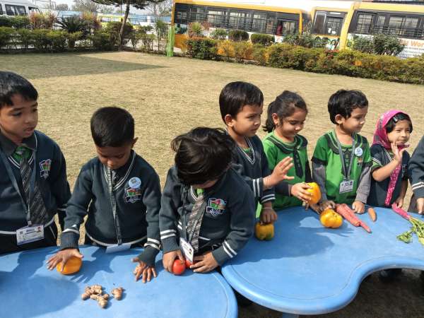 Vegetable Market Day Celebration (2026)