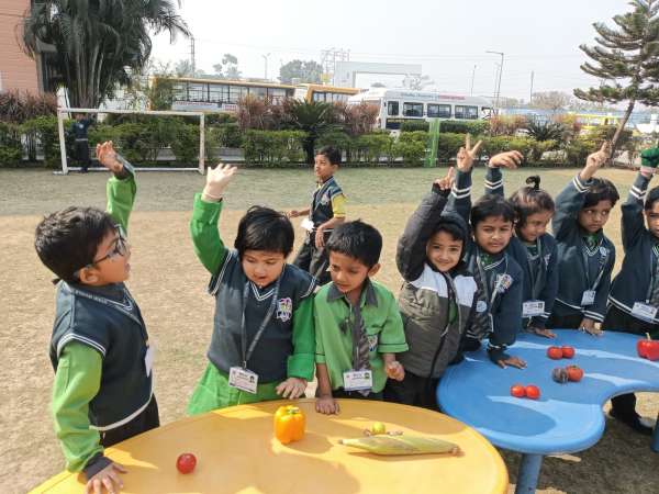 Vegetable Market Day Celebration (2026)