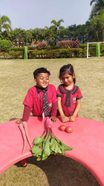 Vegetable Market Day Celebration (2026)