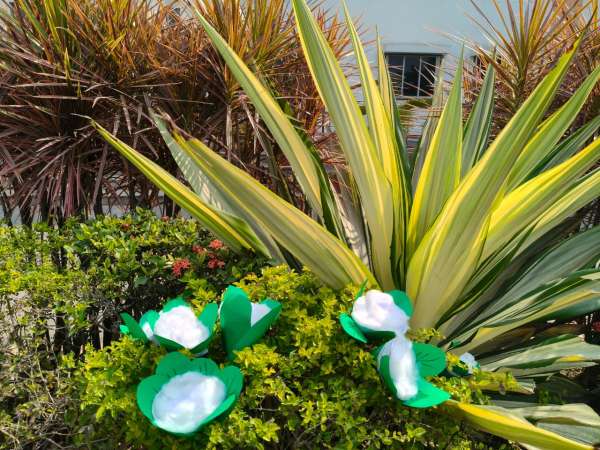 Vegetable Market Day Celebration (2026)