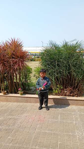 Bloom and Blossom for Pre Primary (2026)