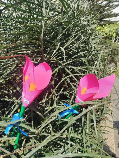 Bloom and Blossom for Pre Primary (2026)