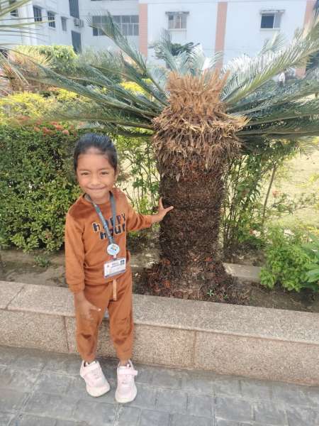 Brown Day Celebration (2026)