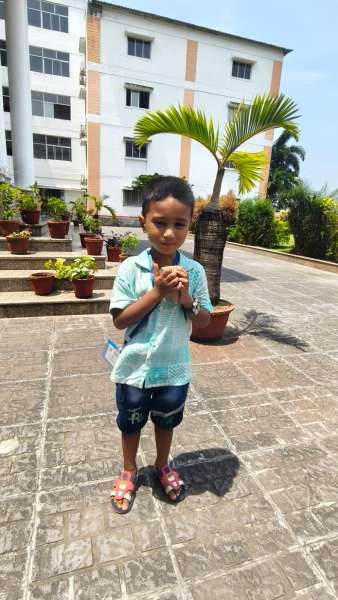 Summer Splash for Classes PG – KG (2026)