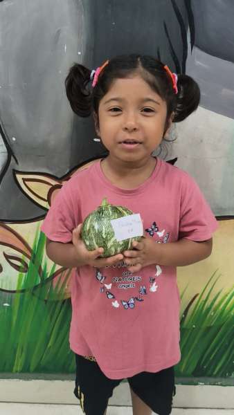 Show & Tell Competition (2026)