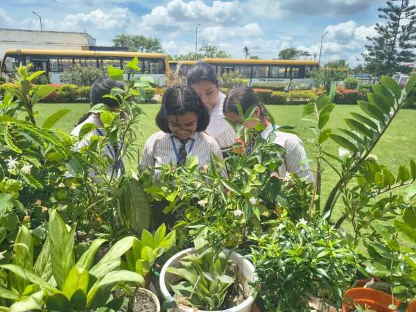 Plantation Day Celebration Classes 6 – 12 (2026)