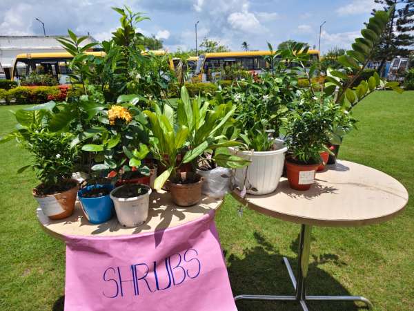 Plantation Day Celebration Classes 6 – 12 (2026)