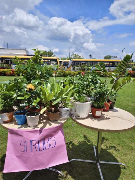 Plantation Day Celebration Classes 6 – 12 (2026)