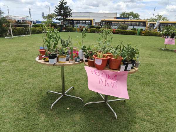 Plantation Day Celebration Classes 6 – 12 (2026)
